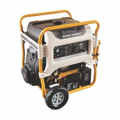 Motogerador Gasolina Buffalo Master 12kva Mono P Elétrica
