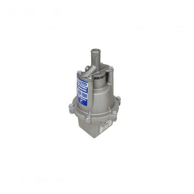 Motobomba Vibratória Submersa Tipo Sapo 340W Ebsv-800 Eletroplas 220V