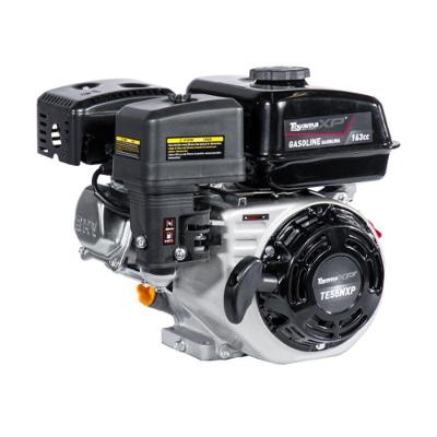 Motor Gasolina Toyama 5,5hp 163cc 4t Eixo 3-4 Sem Te55n-xp