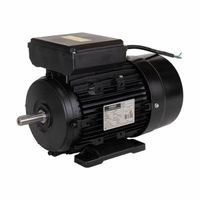 Motor 3cv Monofásico 127- 4p Ip55 Yl100l1-4 Lynus 220V