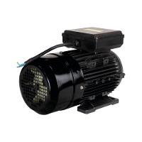 Motor 3cv Monofásico 127- 4p Ip55 Yl100l1-4 Lynus 220V - 3