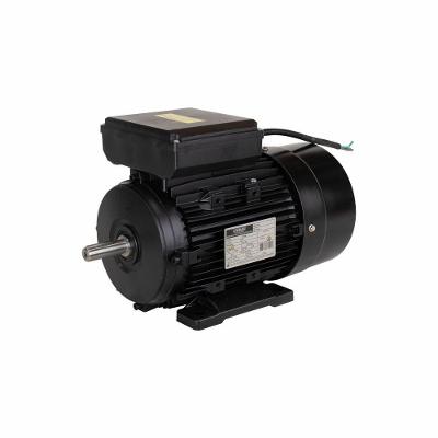 Motor Elétrico De 2cv 127- 60Hz 2p Ip55 Yl90s-2 Lynus 220V