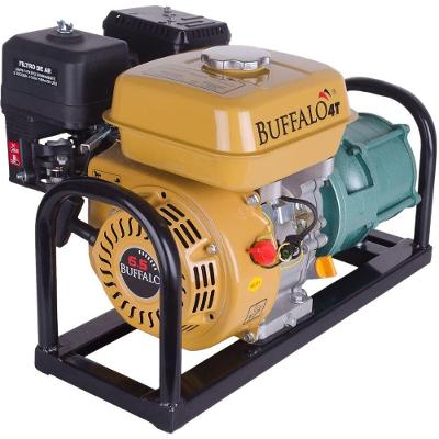 Motobomba Gasolina 4 Estágios 1'' 6,5cv P Manual Buffalo