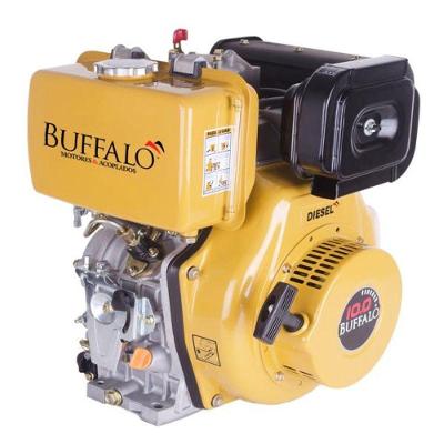 Motor Diesel Buffalo 10cv 418cc 4t P Elétrica Filtro Seco
