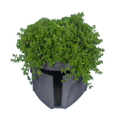 Cachepot Galáctico: Mandaloriano - Atraia A Força Do Universo Star Wars Para Sua Decoração