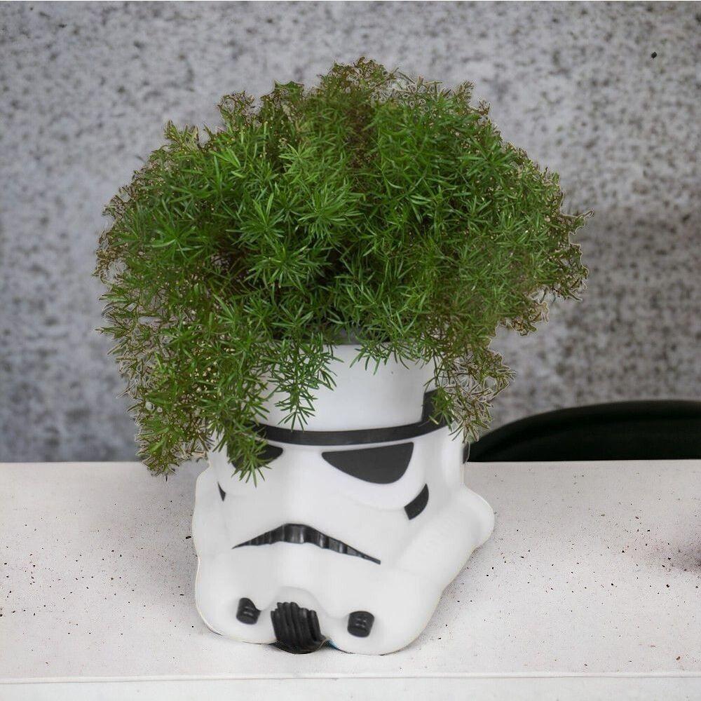 Cachepot Stormtrooper - Vaso Decorativo Star Wars Para Plantas E Estilo Galáctico - 3