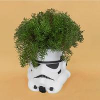 Cachepot Stormtrooper - Vaso Decorativo Star Wars Para Plantas E Estilo Galáctico - 2