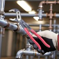 Alicate Bomba D'água 12'' Cr-v Tradestar - 2