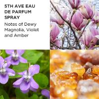 Kit Elizabeth Arden 5th Avenue Edp Feminino 125ml + Bl 100ml - 3