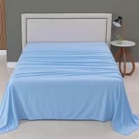 Lençol De Cima Avulso Minimal Liso Casal 01 Peça Malha 100% Algodão - Azul Claro - 2