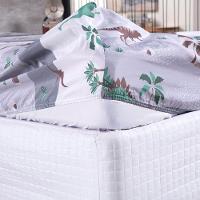 Kit Coordenado Edredom Com Lençol Solteiro Alegria - Dinossauro - 100% Poliéster - 5