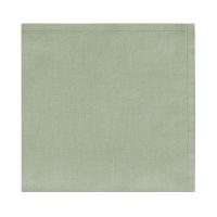 Guardanapo Copa E Cia 4 Peças Home 45x45cm Liso Sálvia - 1
