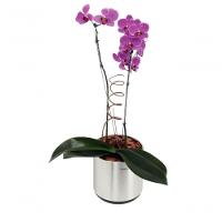 Lixeira Inox Tramontina Portofino Com Acabamento Escovado 7 Litros - 2