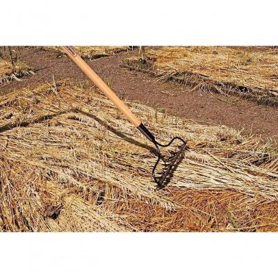 Ancinho Com Haste Tramontina Metálico Leve 14 Dentes Com Cabo De Madeira 145cm