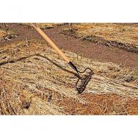 Ancinho Com Haste Tramontina Metálico Leve 14 Dentes Com Cabo De Madeira 145cm - 1