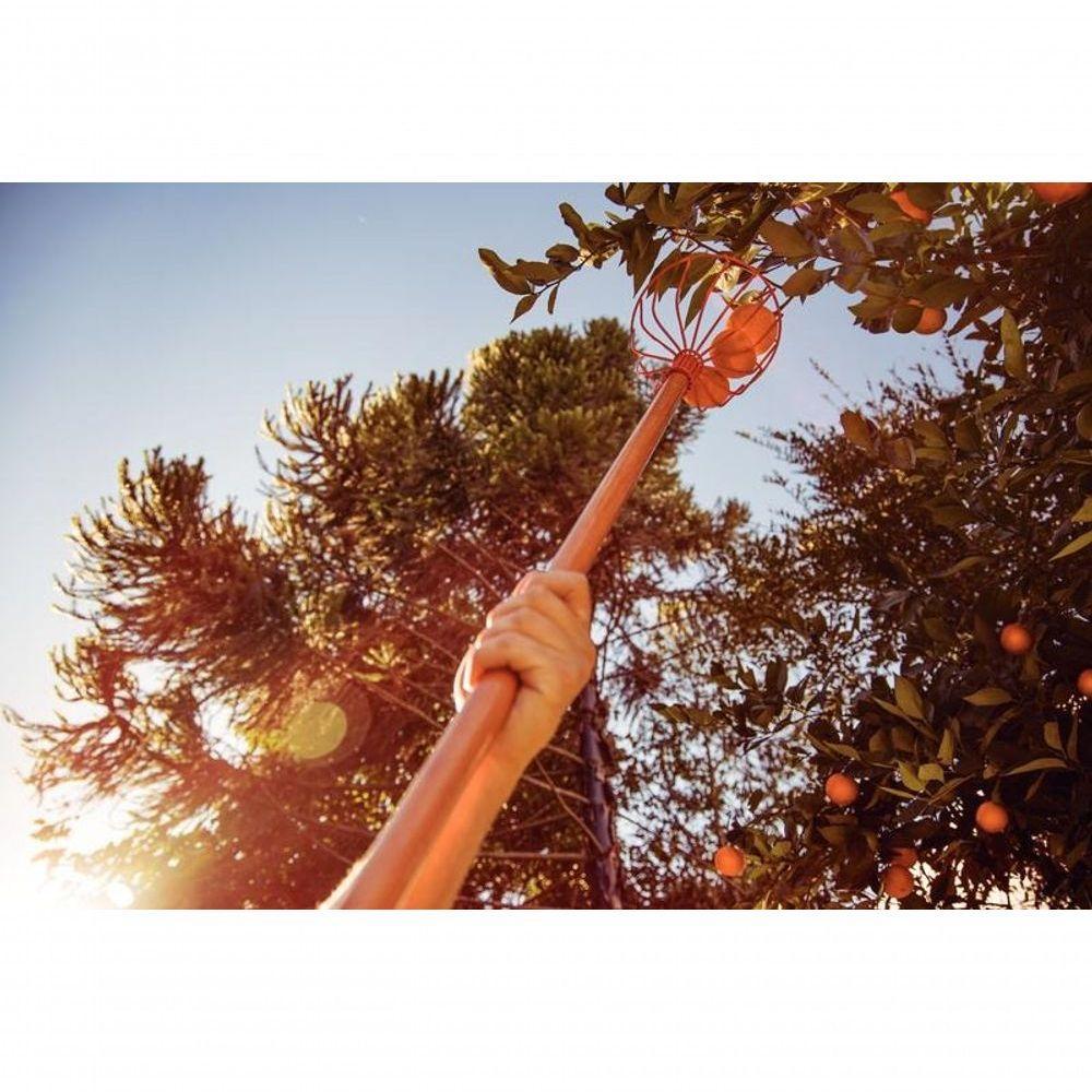 Colhedor De Frutas Tramontina Grande Em Aço Sem Cabo - 2