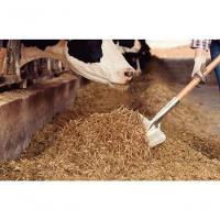 Pá Carvoeira Tramontina Em Alumínio Com Cabo De Madeira 120cm - 2