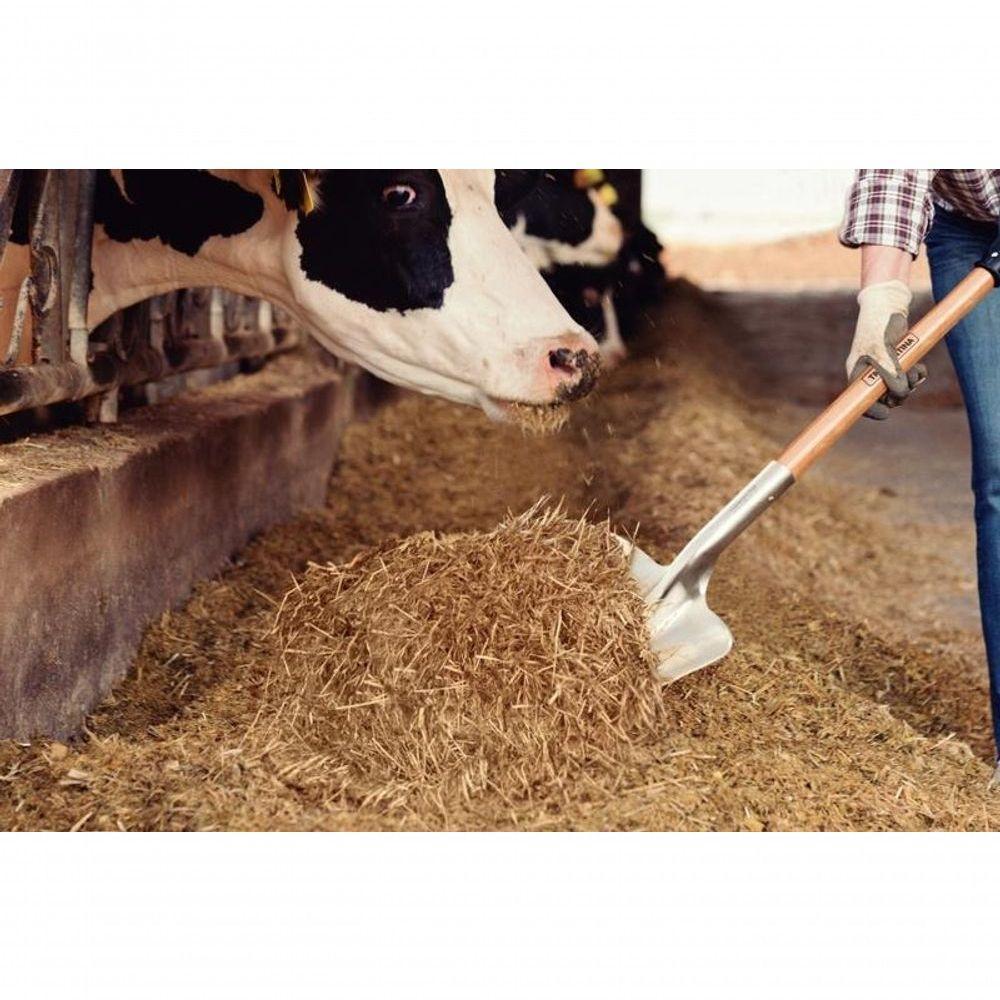 Pá Carvoeira Tramontina Em Alumínio Com Cabo De Madeira 71cm - 2