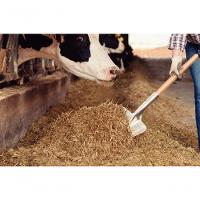 Pá Carvoeira Tramontina Em Alumínio Com Cabo De Madeira 71cm - 2