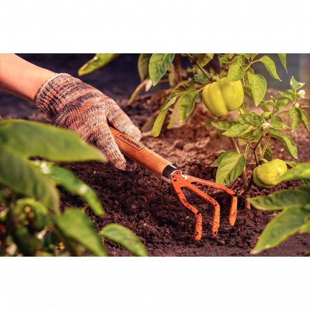 Ancinho Com 3 Dentes Para Jardinagem Tramontina Em Aço Cabo De Madeira - 2