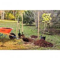 Pá Jardineira Tramontina Em Aço Com Cabo De Madeira 71cm - 2