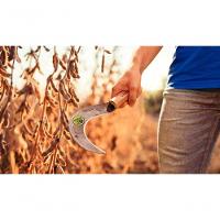 Foicinha Para Soja Tramontina Em Aço Com Cabo De Madeira - 2