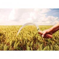 Foicinha Com Dentes Média Tramontina Em Aço Cabo De Madeira - 2