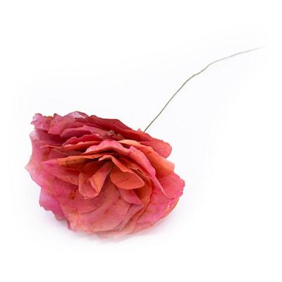 Rosa Artificial Cerejinha Desidratada Com Haste Arame Real Toque 54 Cm F04 - D'rossi