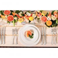 Conjunto De Pratos Raso Tramontina Maria Augusta Em Porcelana 27cm 6 Peças - 2