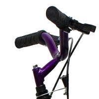 Bicicleta Aro 20 Mono Meninas Violeta Com Rodinhas