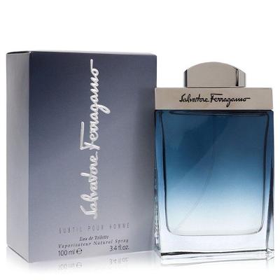 Perfume Masculino Subtil Salvatore Ferragamo 100 Ml Eau De Toilette