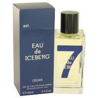 Perfume Masculino Cedar Iceberg 100 Ml Eau De Toilette - 1