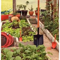 Pá De Bico Leve Tramontina Em Aço Com Cabo De Madeira 120cm 460/30 - 2