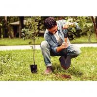 Pá De Bico Pequena Tramontina Em Aço Com Cabo De Madeira 45cm - 2