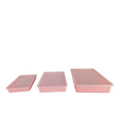 Kit 3 Potes Porta Alimentos Mantimentos Freezer Microondas Multi Tamanhos Marmita Fitness Lancheira Rosa