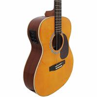 Violão Aço Eletroacústico Giannini Performance Plus Gad Plus Eq Ng - 3