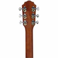 Violão Aço Eletroacústico Giannini Performance Plus Gad Plus Eq Ng