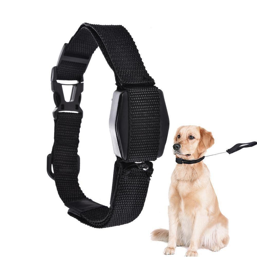 Guia Coleira Magnetica Cachorro 2 Em 1 Retratil Alca Caes Gatos Treinamento Adestramento Lucky Leash - 1