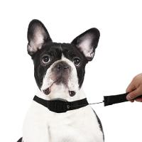 Guia Coleira Magnetica Cachorro 2 Em 1 Retratil Alca Caes Gatos Treinamento Adestramento Lucky Leash - 5