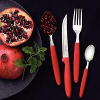 Jogo De Talheres 24 Peças Tramontina Ipanema 23399791 Vermelho