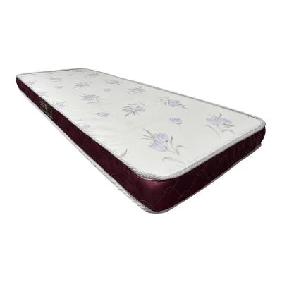Colchão Solteiro Castor Espuma D20 78 X 188 X 12 Sleep Max