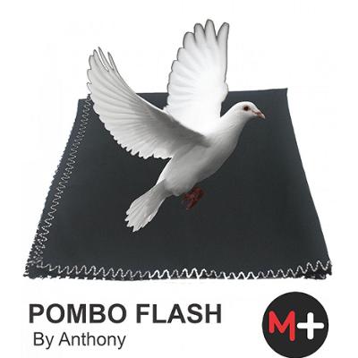 Pombo Flash By Anthony G+