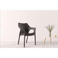 Cadeira Relic Im In área Externa E Interna (pp) Cinza - 3