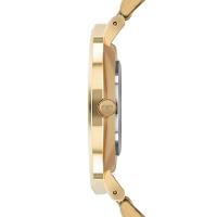 Relógio Technos Masculino Slim Dourado - 2025lui-1p - 2