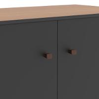 Buffet Aparador Compacto Com 2 Portas 77cm Escritório Tech - Preto E Cedro