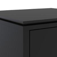 Gaveteiro Multiuso Com 2 Gavetas Para Escritório Tundra - Preto