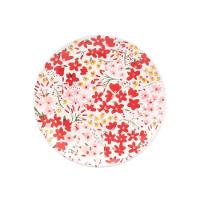 Aparelho De Jantar 30 Peças Floral Oxford