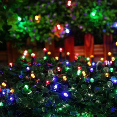 10 Metros De Led Pisca Cordão Com 100 Lampadas Formato Gota Fio Preto Colorido