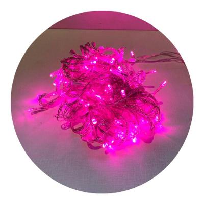 Cordão Com 100 Lampadas De Led Formato Pequena Gota 10 Metros Fio Crystal Rosa
