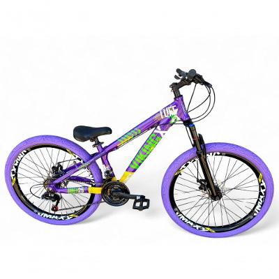 Bicicleta Aro 26 Vikingx Tuff X25 Freeride 21v Aros Vmaxx Dh Freio A Disco Pneu Flame - Roxo/amarelo/verde